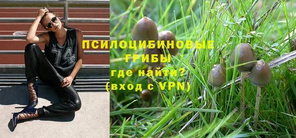 apvp Медногорск
