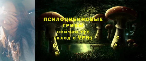 MDMA Premium VHQ Медвежьегорск
