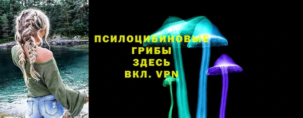 apvp Медногорск