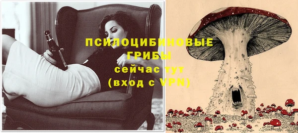 apvp Медногорск