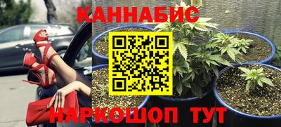 мяу мяу мука Заводоуковск