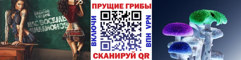 мега вход  купить наркотики сайты  Подольск  Псилоцибиновые грибы мицелий 