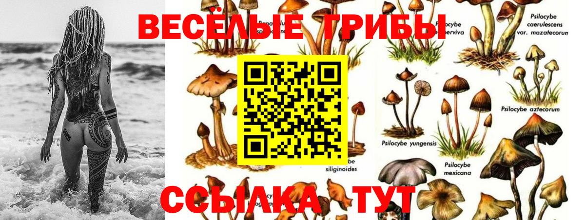 Галлюциногенные грибы мухоморы Подольск