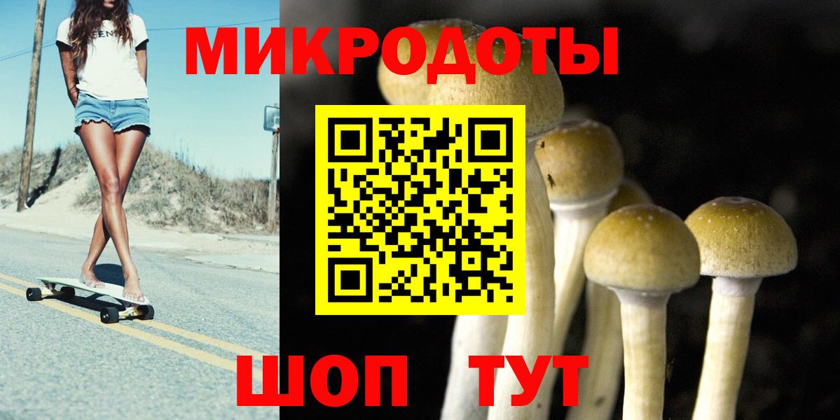Псилоцибиновые грибы Psilocybine cubensis  Вход с VPN  Подольск  Галлюциногенные грибы Psilocybe 